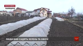 Чотири села біля Львова з квітня платитимуть за воду, яку досі отримували безкоштовно
