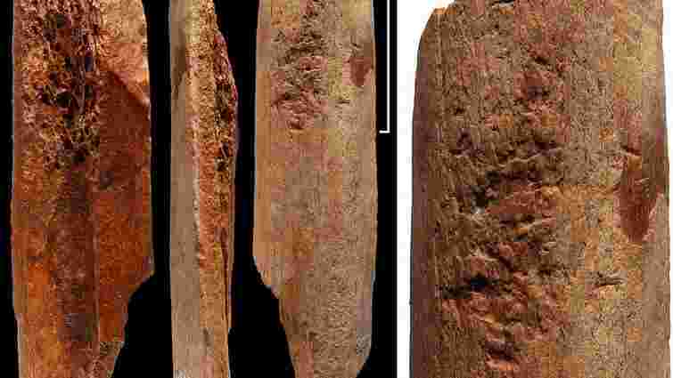 У Китаї знайшли інструменти з кістки віком 115 тис. років