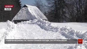 Синоптики остаточно розвінчали прогнози львівських бабачих про ранню весну