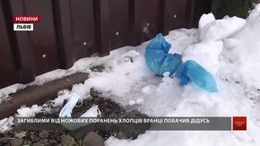 У Стрийському районі зарізали двох юнаків