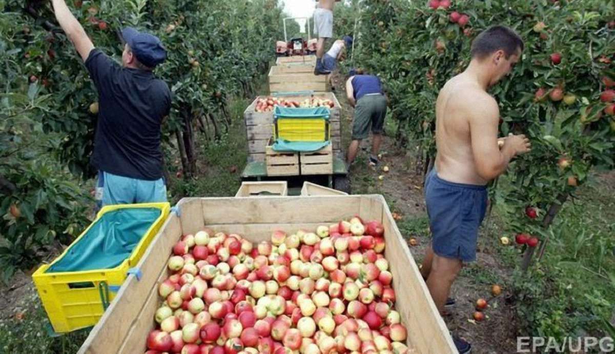 У польському МЗС запропонували створити державну агенцію для українських мігрантів