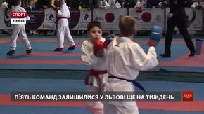 На Lviv International Cup найбільше нагород здобули каратисти клубу «Union»