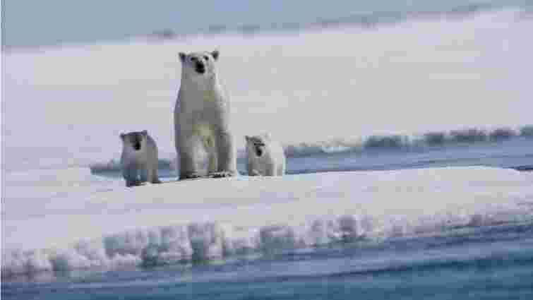 NASA заявило про рекордне скорочення площі льодовиків в Арктиці