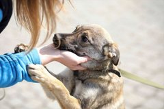 Скруджеве серце