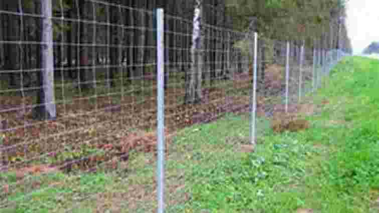 Польща у вересні почне будівництво паркану проти кабанів на кордоні з Україною