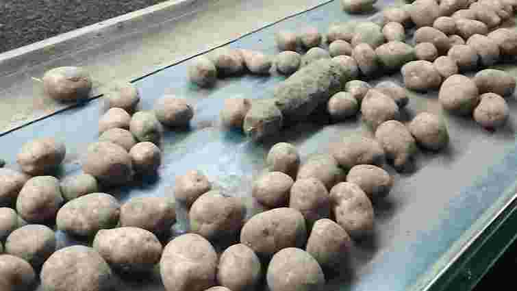 В картоплі на агропромисловому підприємстві на Львівщині знайшли артснаряд