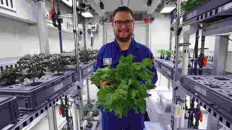 Вчені виростили в Антарктиді перший врожай овочів