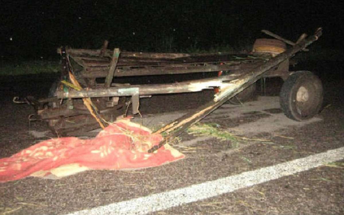 На Волині батько з сином впали на підводі у кювет та загинули