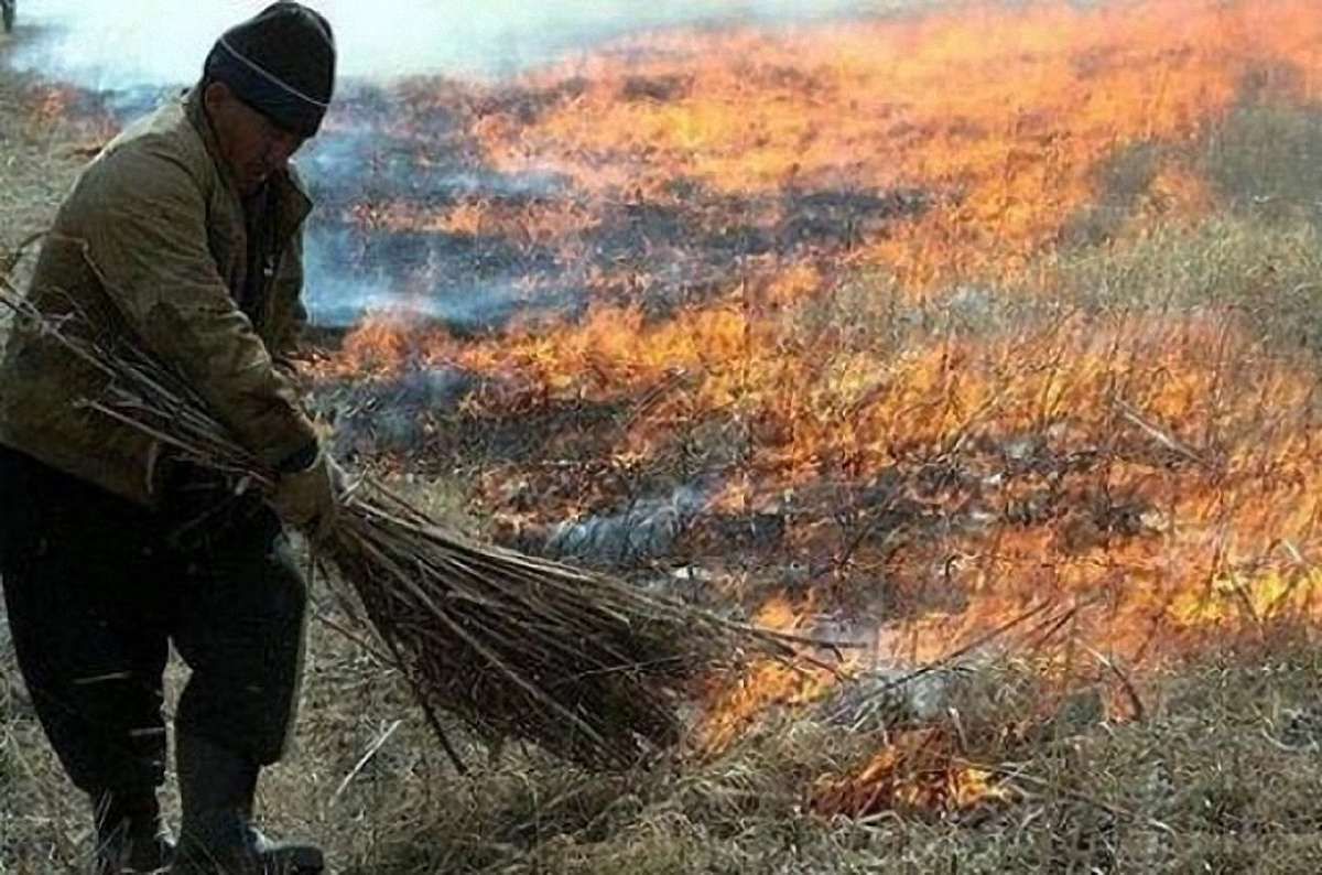 На Волині через спалювання сухої трави загинула 93-річна бабуся