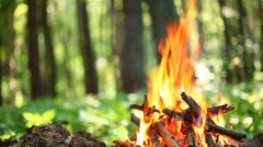 Відпочинок із вогнем