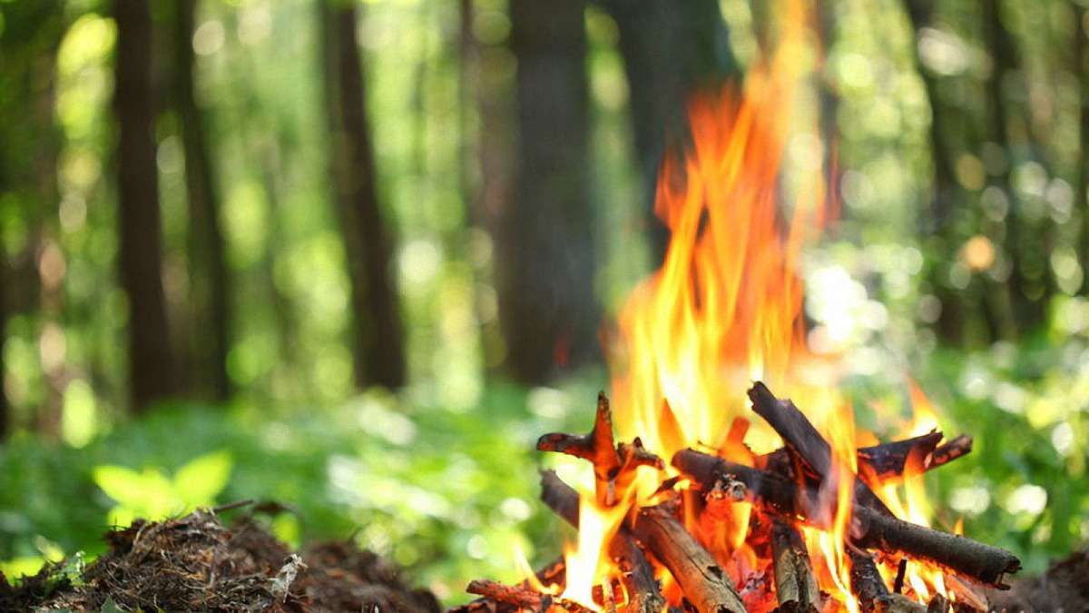 Відпочинок із вогнем