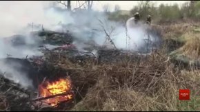 На об’їзній дорозі Золочева рятувальники гасять пожежу