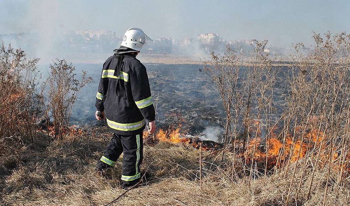 У вихідні на Львівщині виникло більше 20 пожеж сухостою і торфу