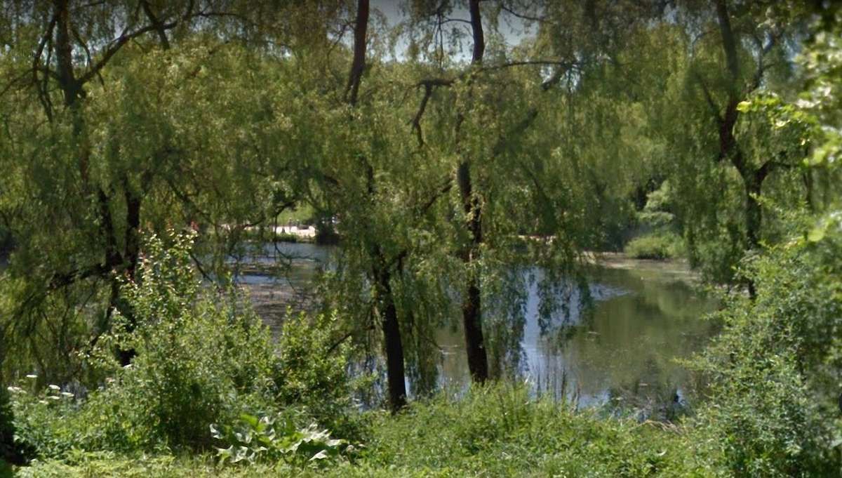 Усі водойми Львова мають перевищений вміст шкідливих речовин