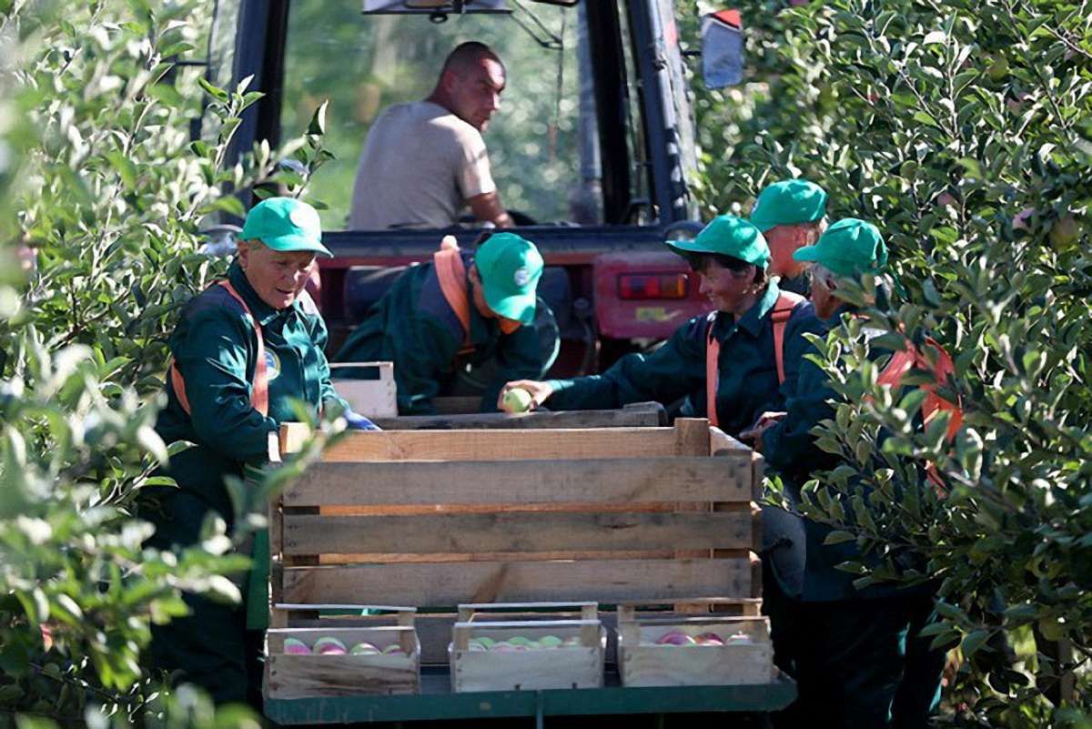 Міністр Рева запропонував нараховувати субсидію і трудовий стаж заробітчанам