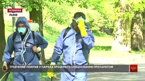 Львів’янам радять кілька днів не відвідувати міські парки