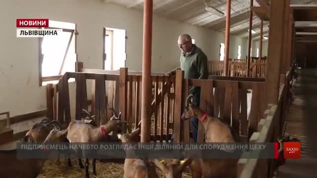 На Львівщині громада підтримала будівництво цеху з обробки каменю біля козячої ферми