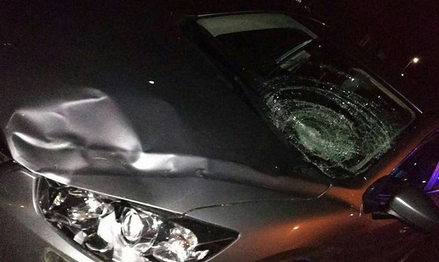 Поблизу Стрия п’яний водій на пішохідному переході збив патрульного і спробував утекти