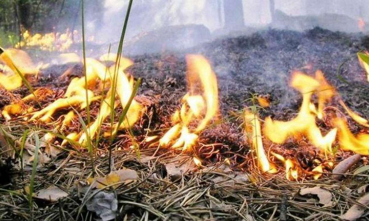 У найближчі три дні на Львівщині буде  надзвичайна пожежна небезпека