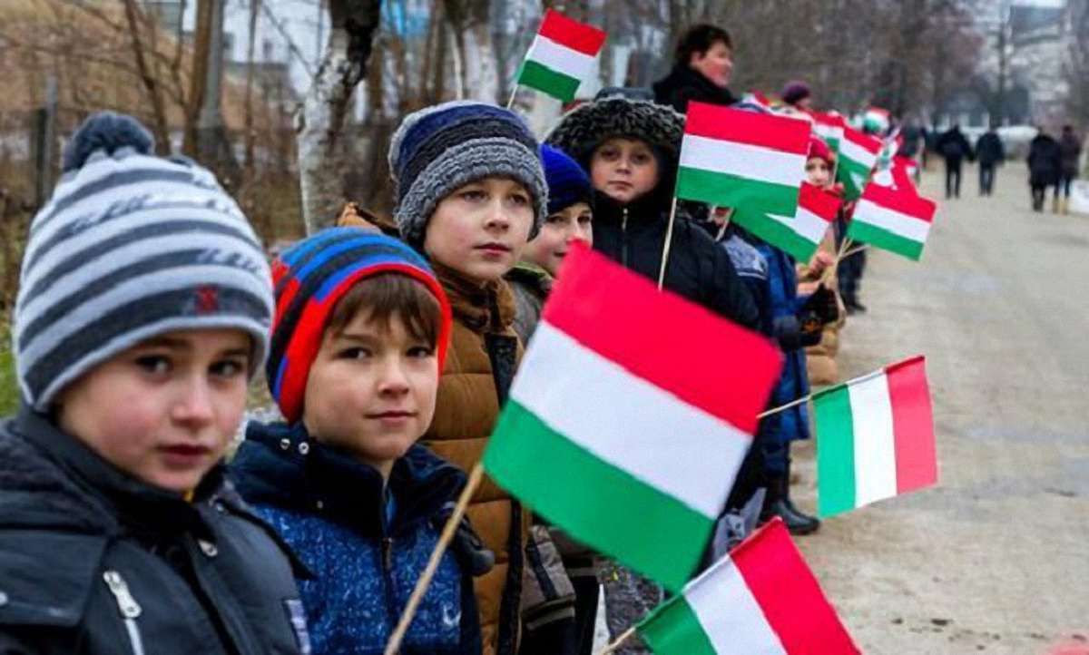 Міносвіти запропонувало для нацменшин від 10 до 40% шкільних предметів рідною мовою