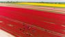 Біля Магдебурга зацвіли величезні поля з тюльпанами. Фото дня