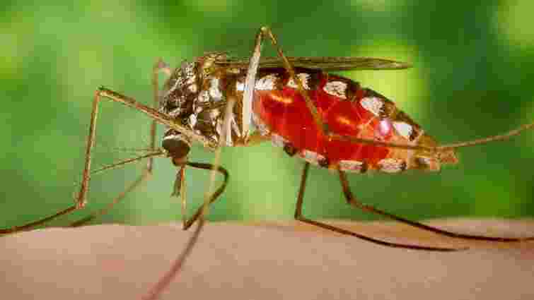 На водоймах Львова проведуть профілактику проти малярійних комарів