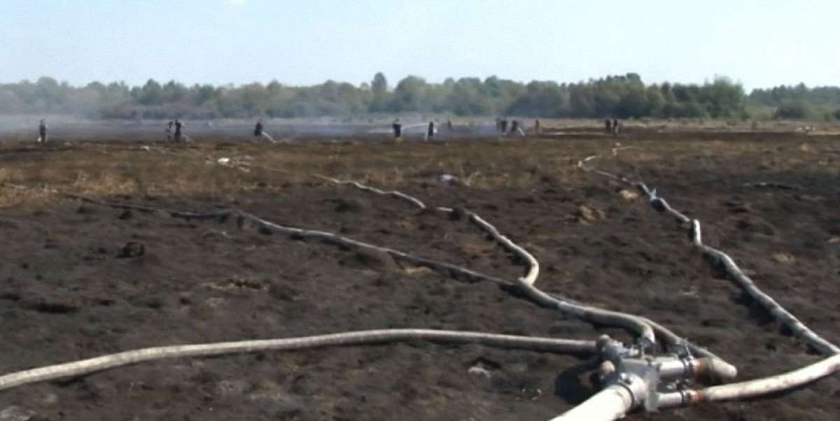 У селі поблизу Львова загорілося торфове поле площею 10 га