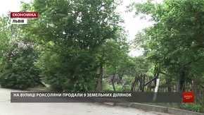 На земельному аукціоні у Львові продали 12 ділянок