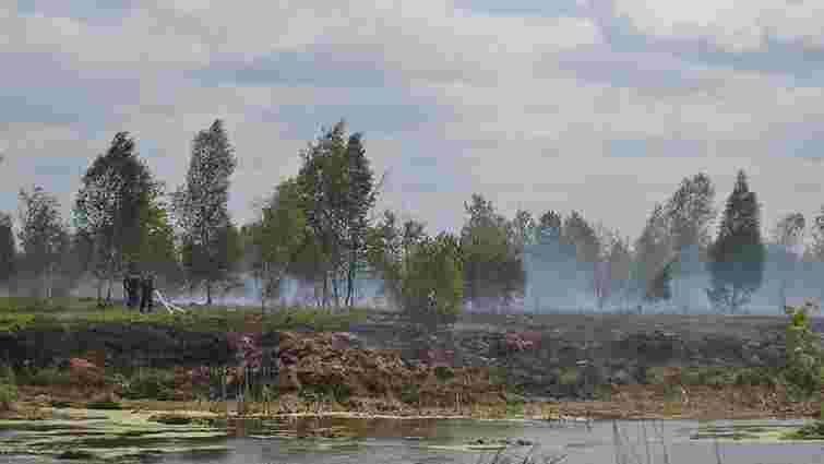 Рятувальники три дні гасили пожежу на торфовищі біля Львова