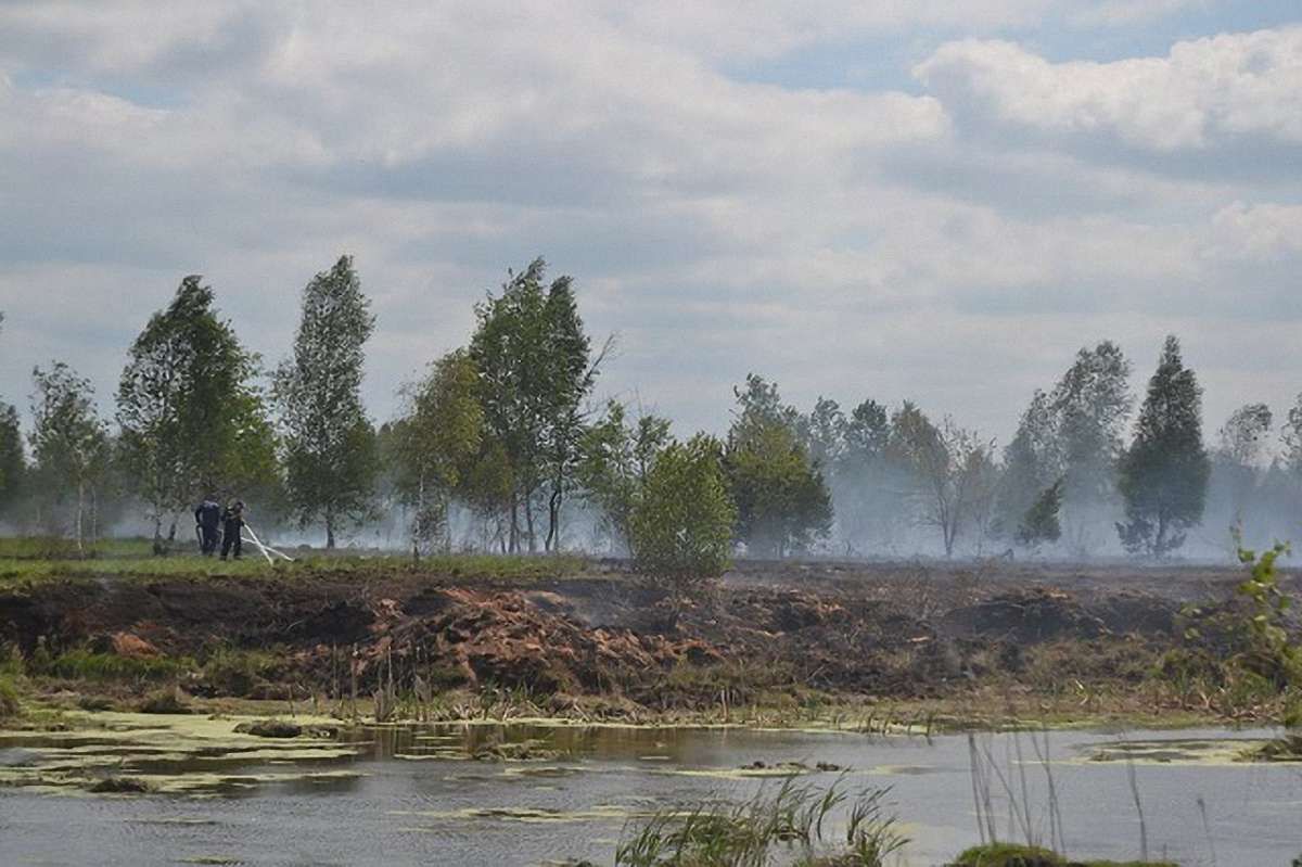 Рятувальники три дні гасили пожежу на торфовищі біля Львова