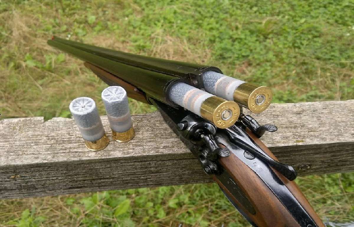 На Львівщині селянин застрелив сусідського собаку
