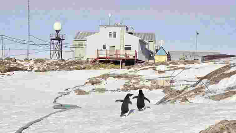 Україна планує запровадити нові міжнародні дослідження в Антарктиді