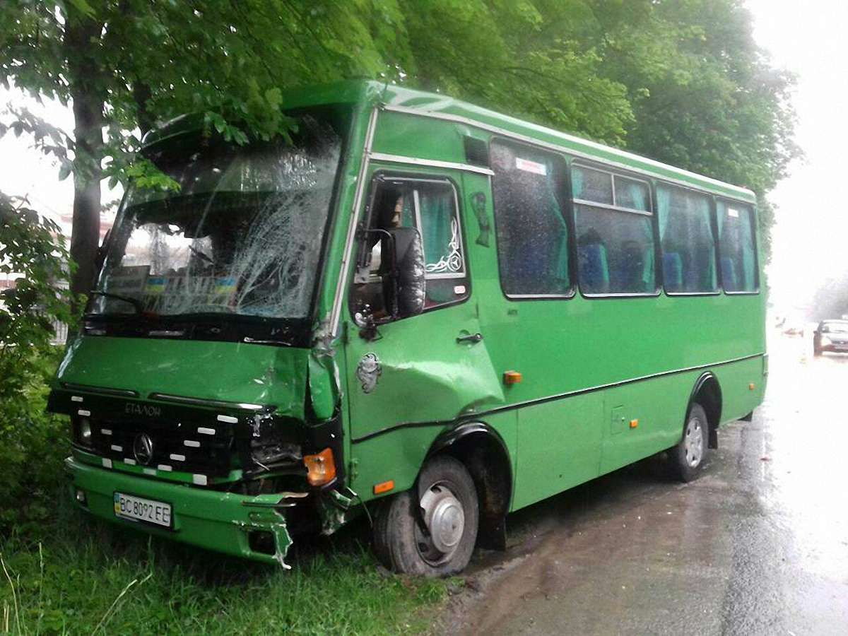 На трасі Львів-Шегині у ДТП потрапив рейсовий автобус