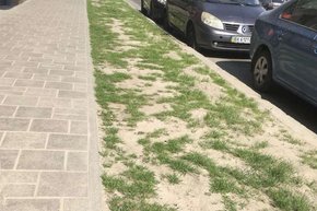 Депутати ЛМР підтримали петицію про відмову від посипання вулиць піском