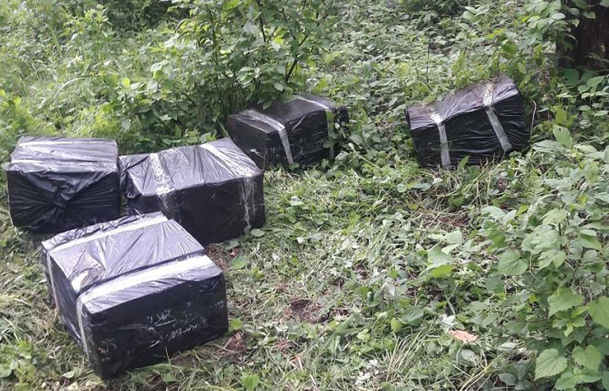 Львівські прикордонники виявили партію контрабандних сигарет у лісосмузі поблизу кордону