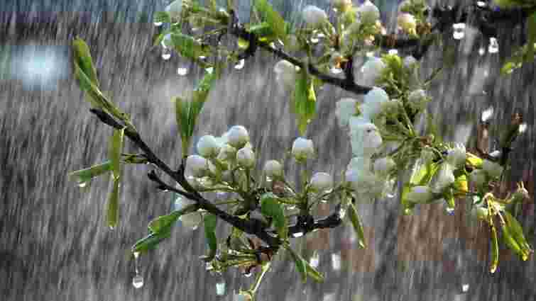 На вихідних в Україні похолоднішає і дощитиме з грозами