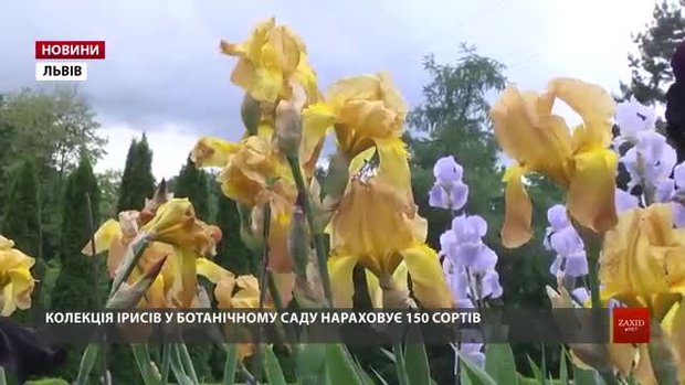 У неділю львів'ян запрошують на День відкритих дверей у Ботанічний сад