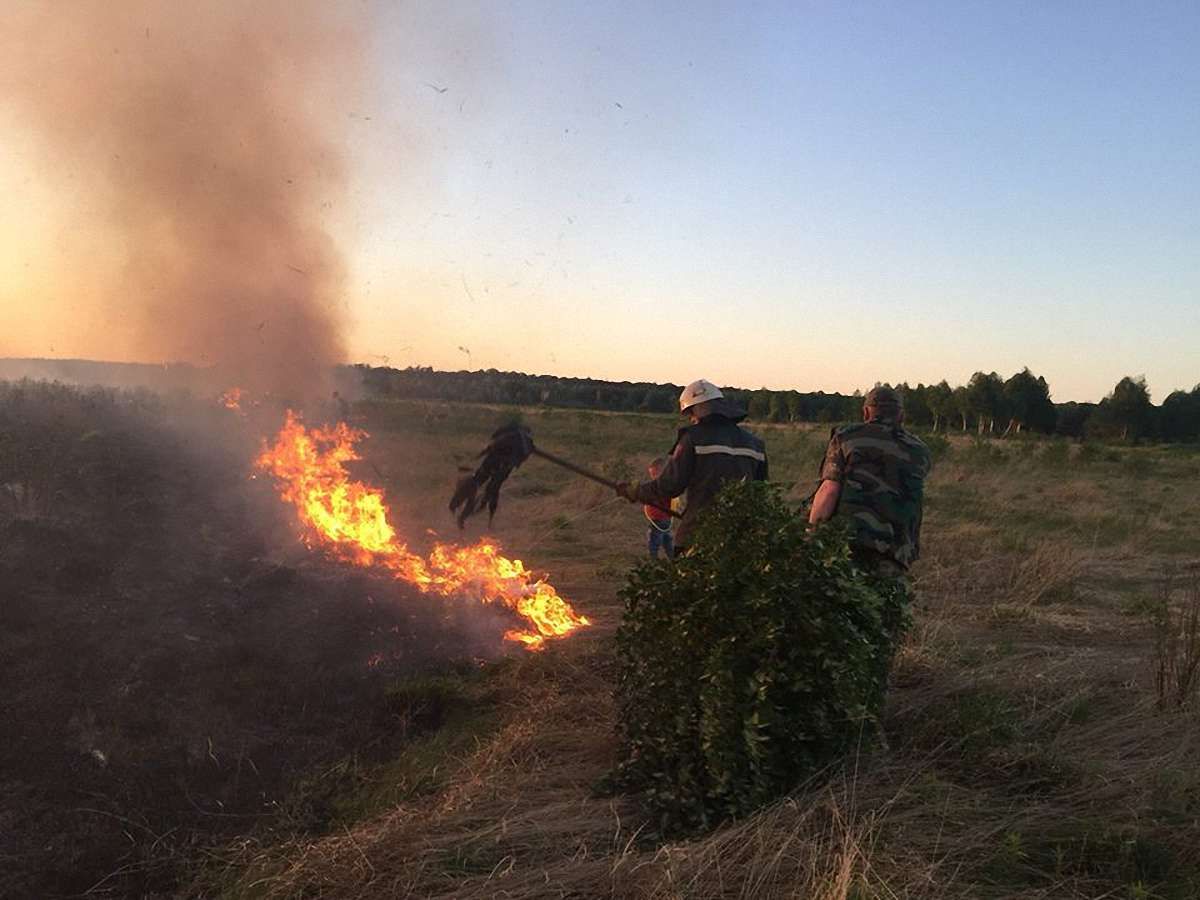 Через спалювання сухої рослинності у Бродівському районі вигоріло 3 га заказника