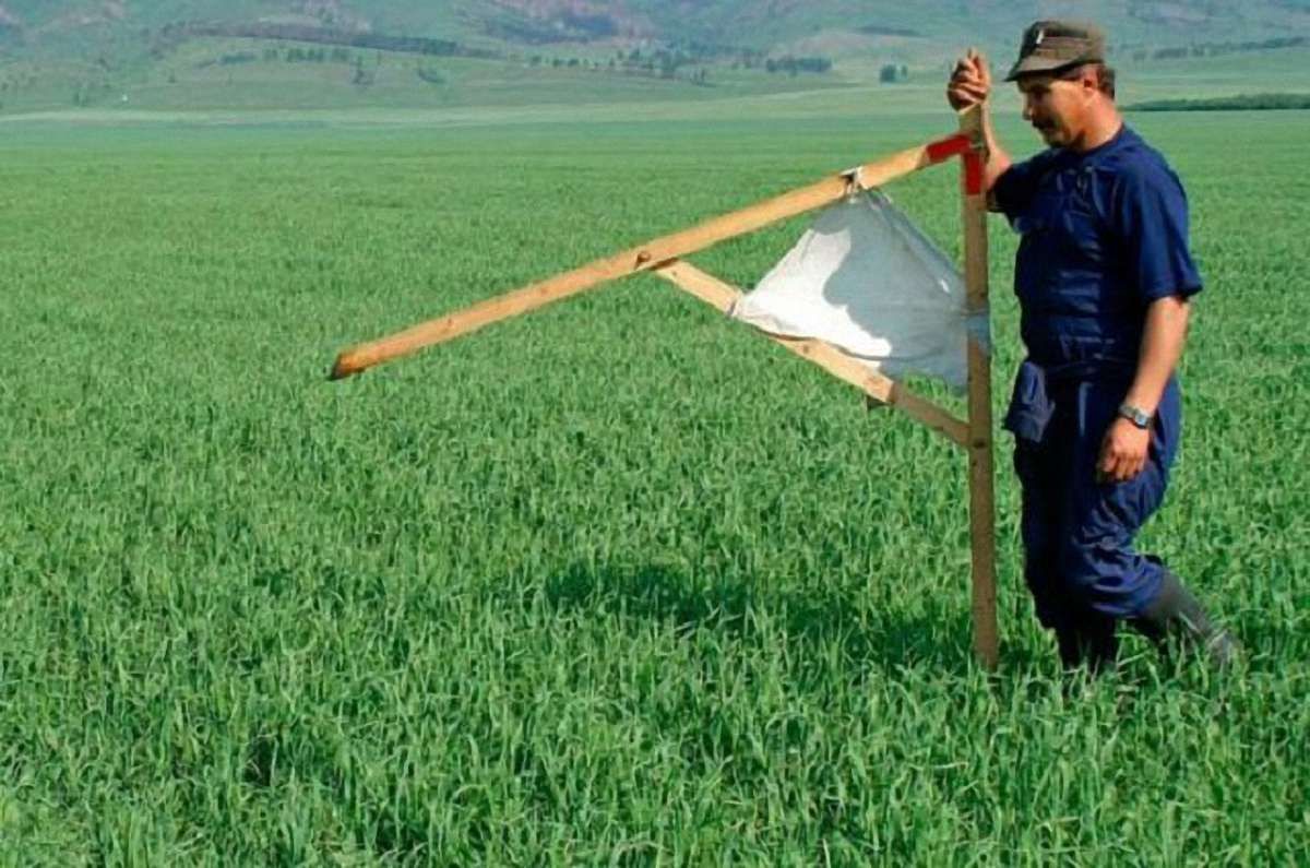 Уряд має намір оскаржити рішення ЄСПЛ щодо мораторію на продаж землі