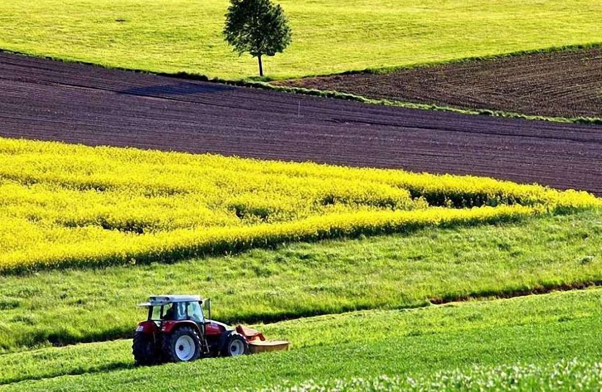 На Львівщині після аудиту посівні площі збільшилися на 22 тис. га