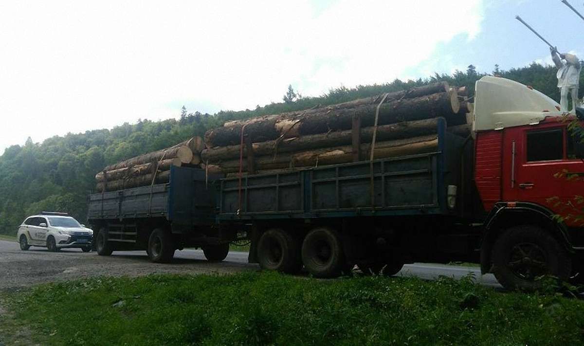 Патрульні на Львівщині виявили вантажівку з двома причепами кругляку без документів