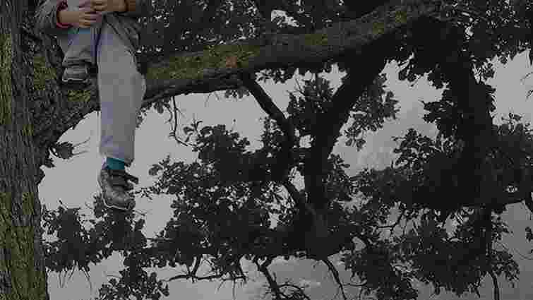 У Львові рятувальники допомогли 12-річному хлопцеві, який заліз на дерево та не зміг спуститися