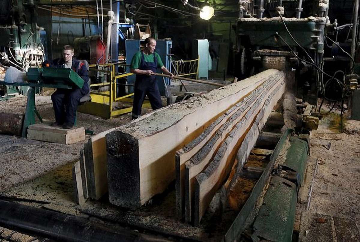 Деревообробне підприємство на Львівщині оштрафували за неоформлених працівників