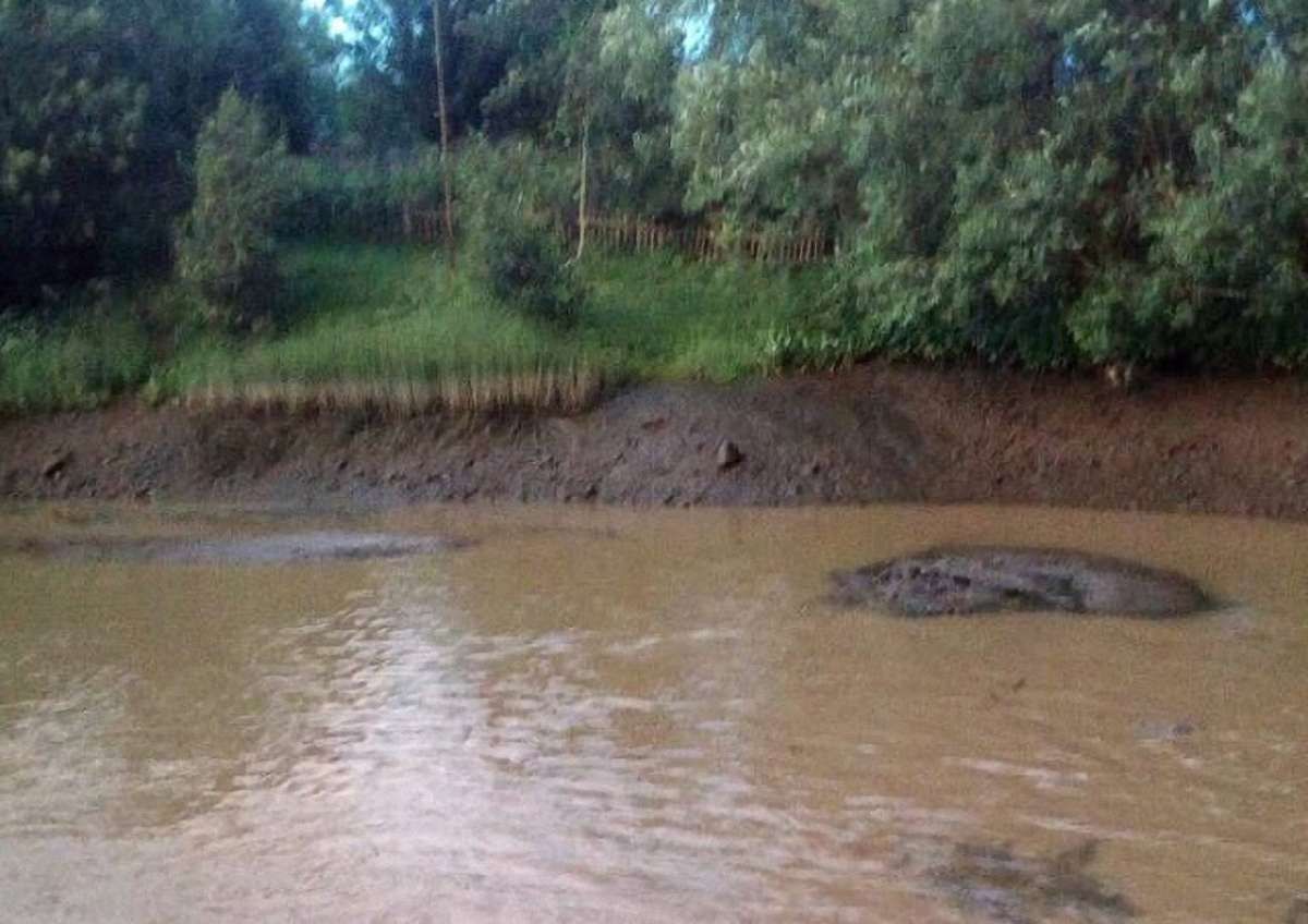 У Бориславі та Східниці тимчасово призупинили водопостачання