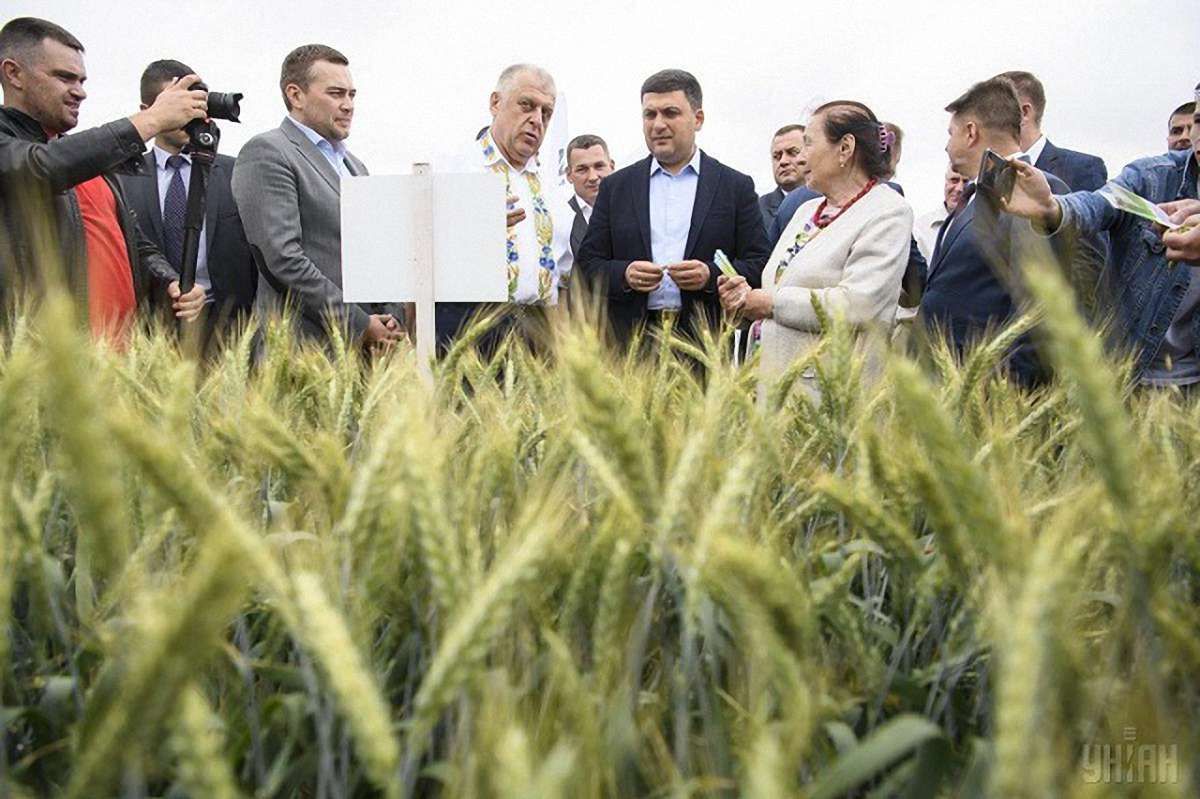  Кабінет міністрів заплатить ₴3,6 млн за відеорекламу своїх реформ
