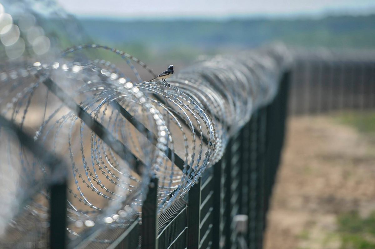 Польща відклала будівництво стіни на кордоні з Україною та Білоруссю 