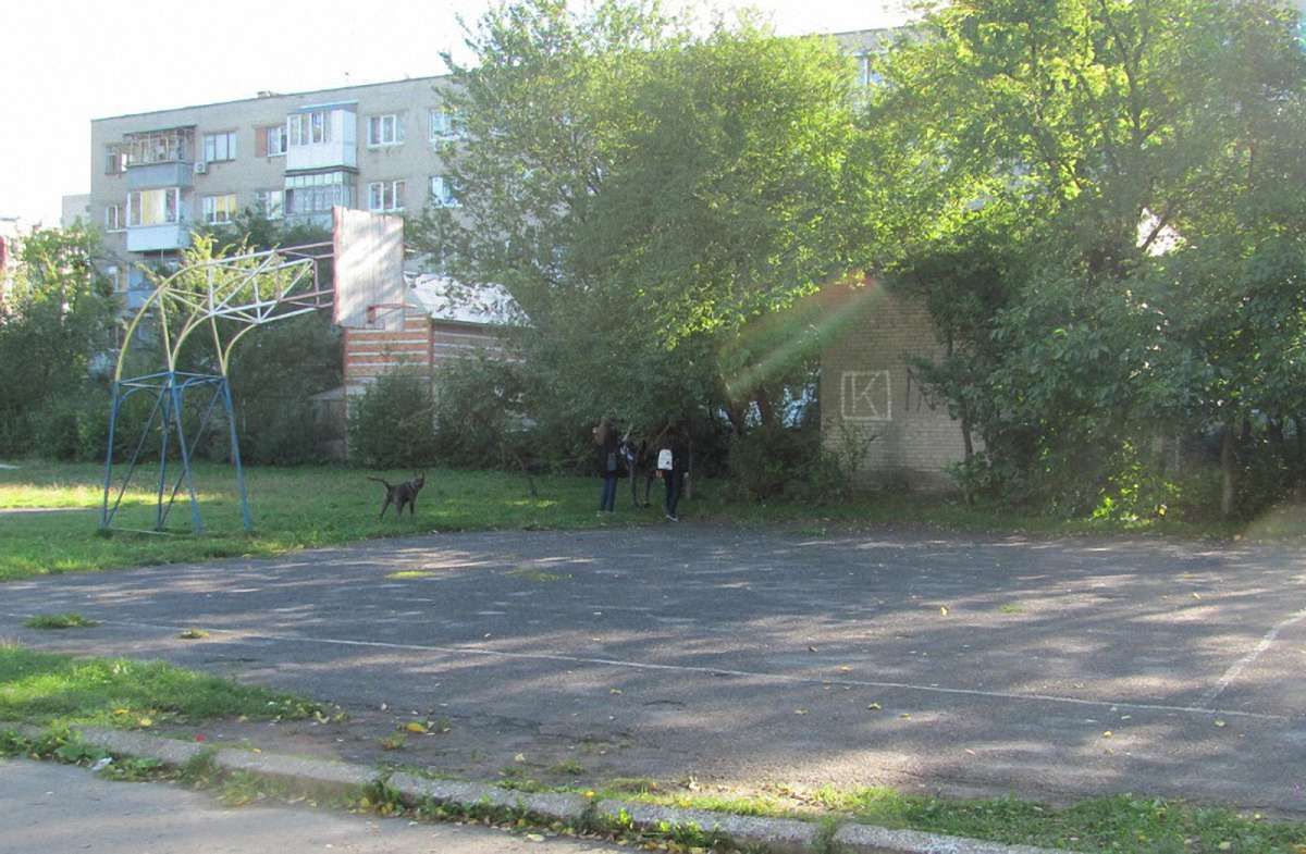 Спортивний майданчик школи №48 відремонтують за ₴698 тис.
