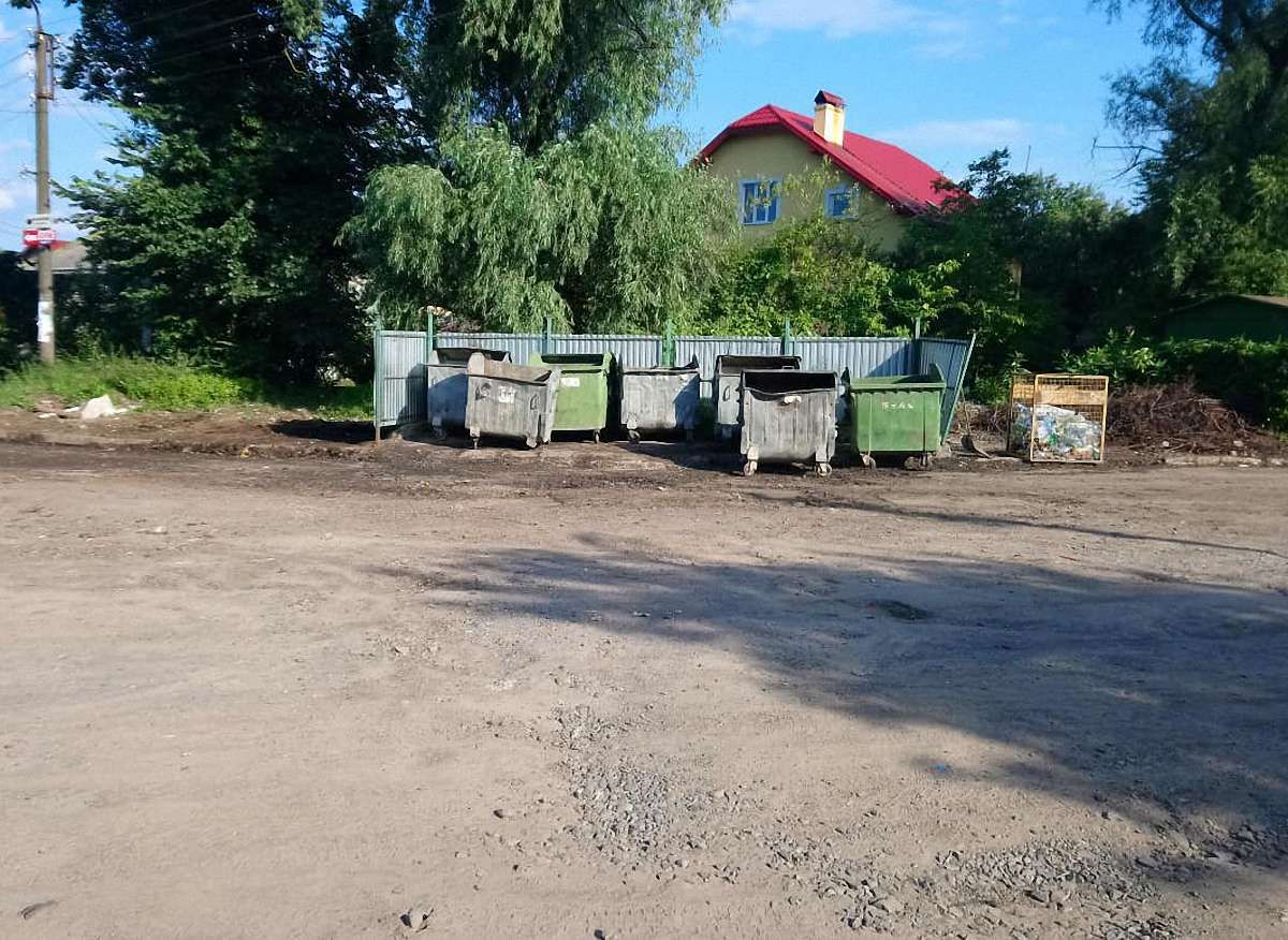 У сміттєвому баку в Дрогобичі виявили мертву корову