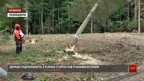 На Львівщині визначили найкращого вальника лісу