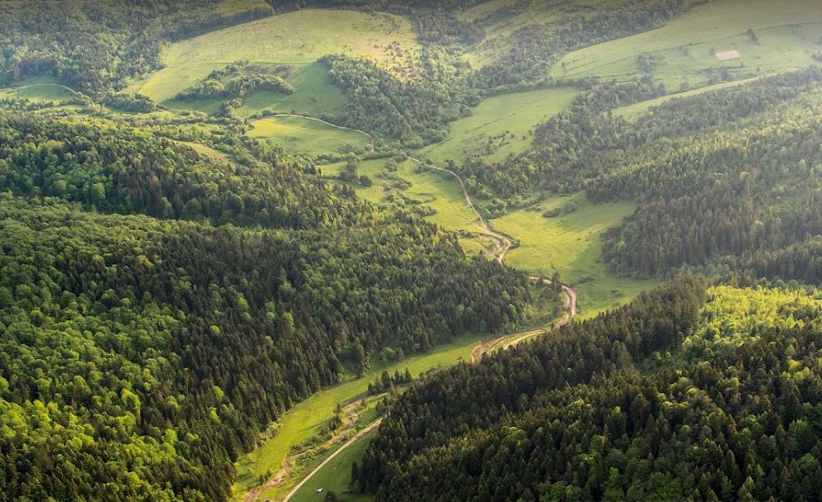 Старосамбірська райрада підтримала створення національного парку «Королівські Бескиди»